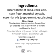 Load image into Gallery viewer, Clear The Air Shower Steamer Multipack